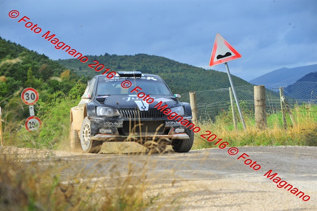 DSC_8155.JPG